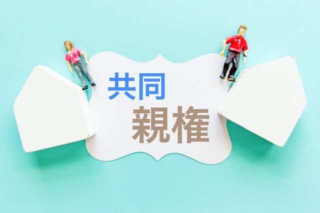 選択共同親権とは？